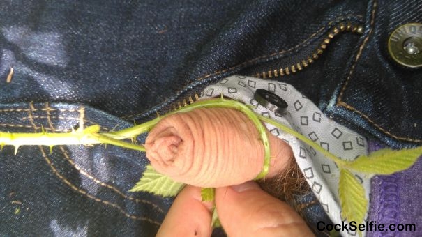 Thorns wrapped around tiny uncircumcised cock - Cock Selfie