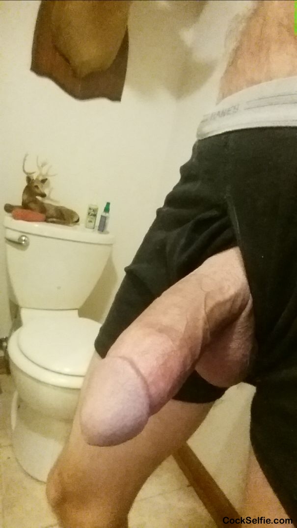 Need someone To Suck My cock,Do You like - Cock Selfie