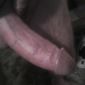 who would like to suck it ? - Cock Selfie