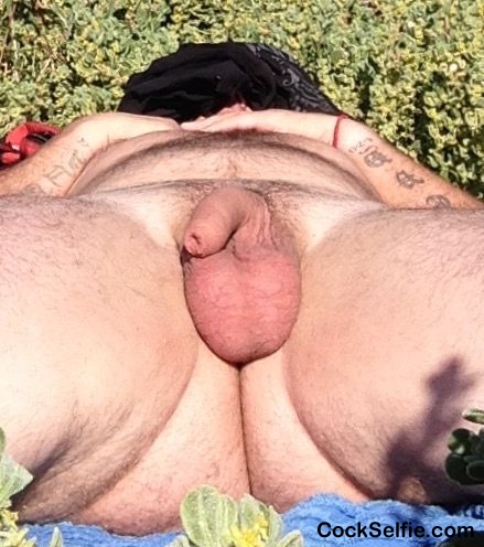 Day at the beach - Cock Selfie