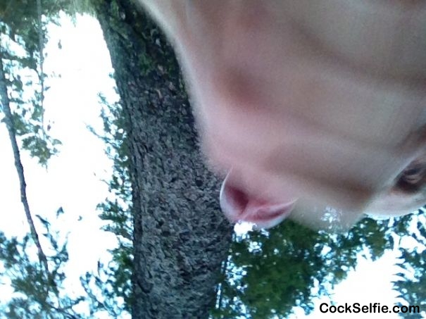 Woods today . - Cock Selfie