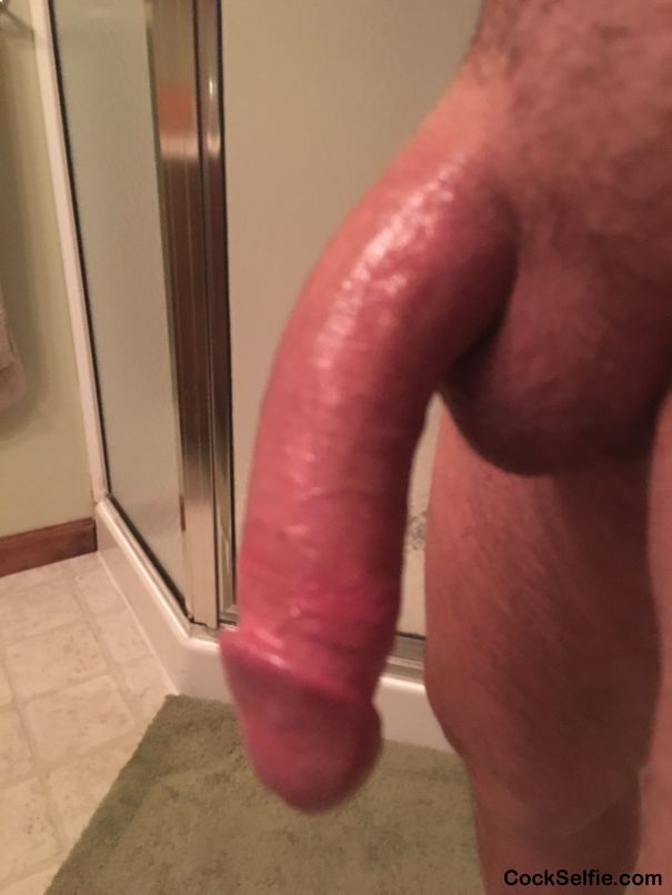 Pussy pleaser - Cock Selfie