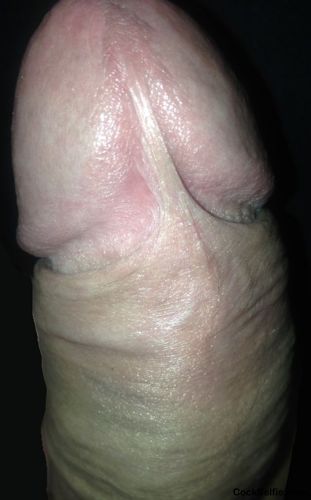 Would you lick it? - Cock Selfie
