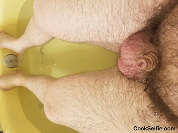 Young small dick in the bath! - Cock Selfie