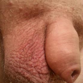 Tiny dick close up - Cock Selfie
