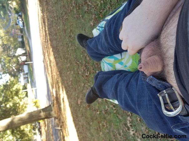 Small soft dick outside - Cock Selfie