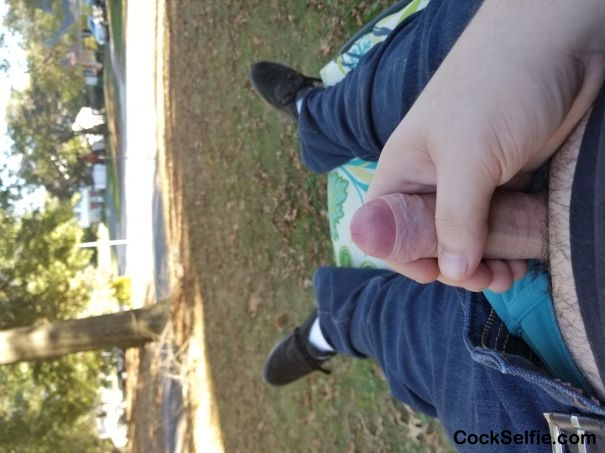 Small hard dick outside - Cock Selfie