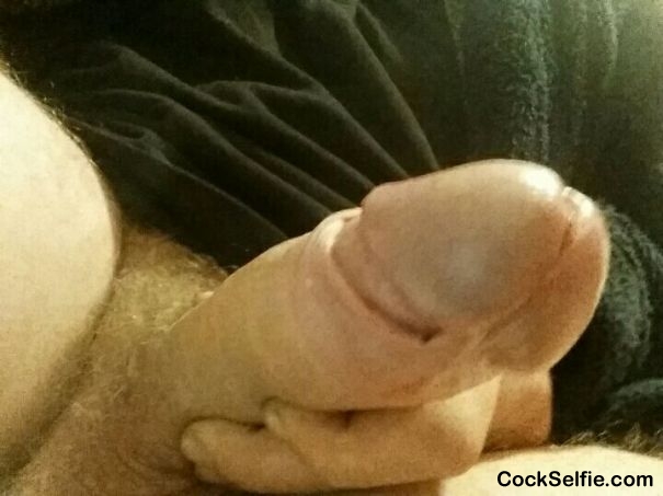 Like my cock? - Cock Selfie