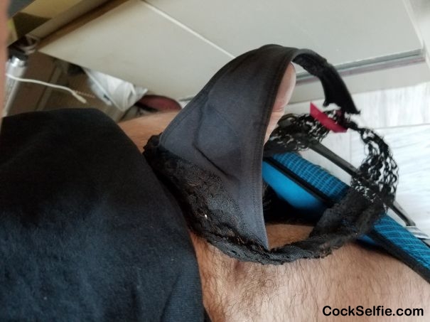 love finding dirty panties - Cock Selfie