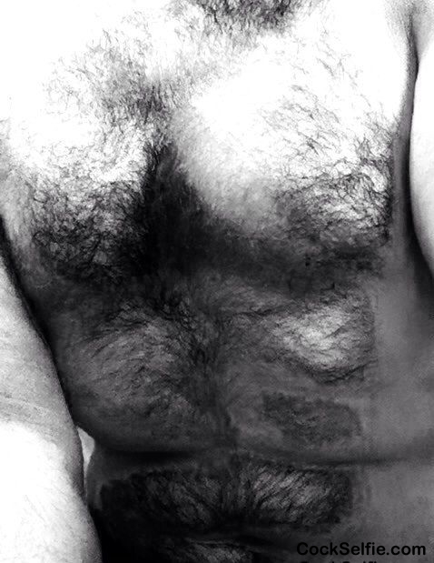 Who likes a hairy man? - Cock Selfie