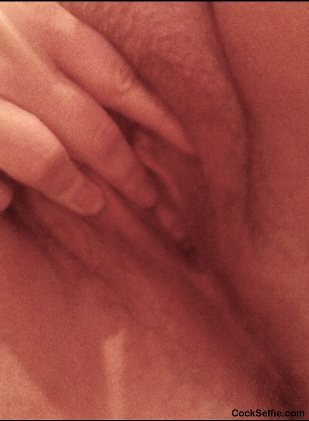 Hot and horny. Anyone want to help me out? - Cock Selfie