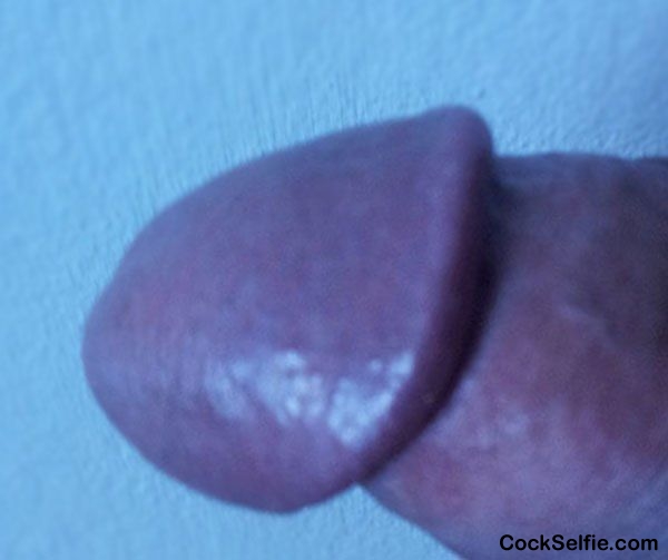 head of my cock, what do you think? - Cock Selfie