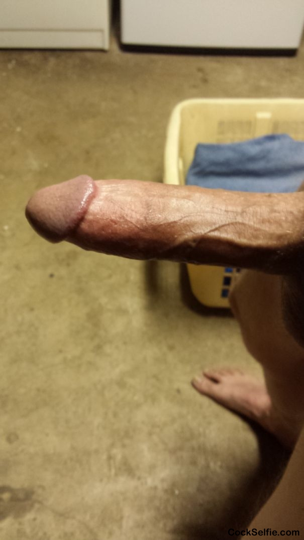 Doing the laundry looking at wett sexy pictures - Cock Selfie