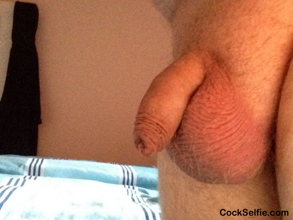 A new one, any comments girls? - Cock Selfie