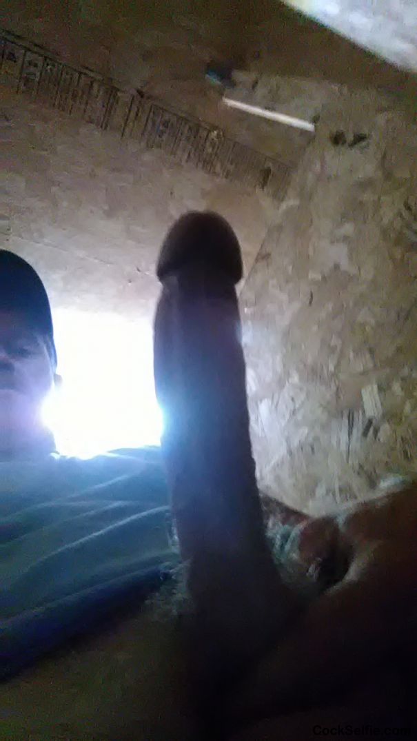  - Cock Selfie