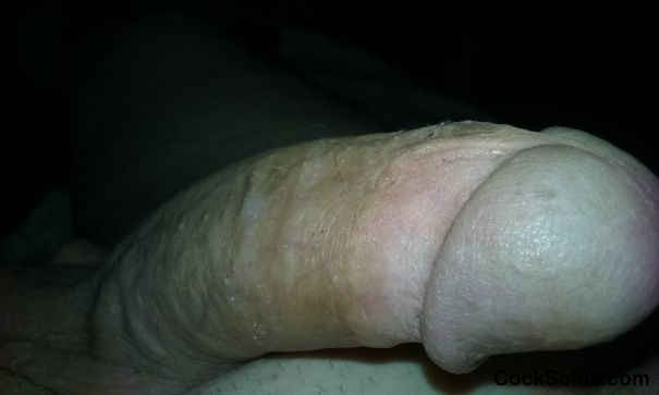 Touch My Dick - Cock Selfie