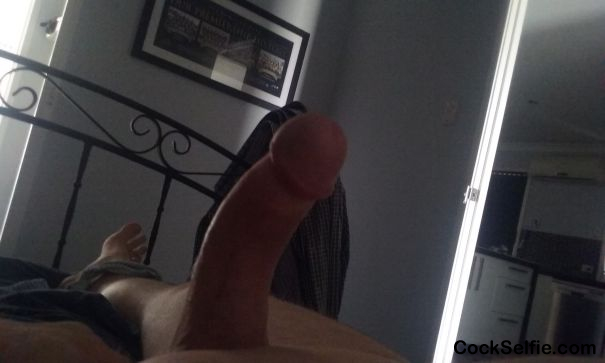 Can You Sit On My Dick Please - Cock Selfie