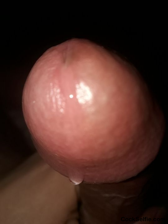Who want lick my pre cum - Cock Selfie