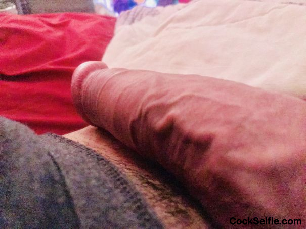 Comments Tell me what You think - Cock Selfie