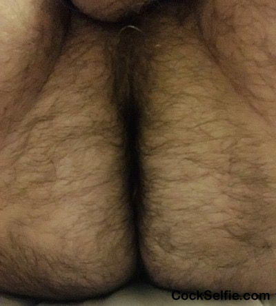 Ass - Cock Selfie