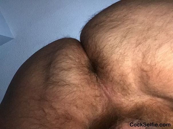 Fuck my ass - Cock Selfie