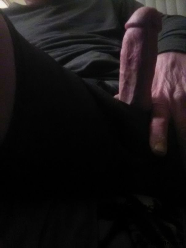 Thick cock hard as a rock - Cock Selfie