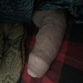 Laying in bed with a chub - Cock Selfie