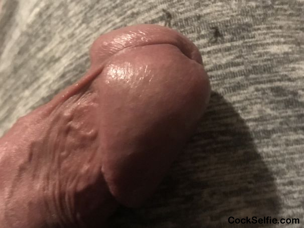 Give him a Soft kiss and lick - Cock Selfie