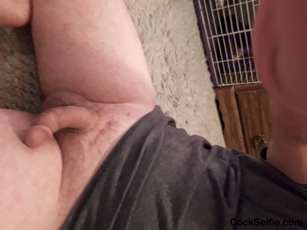 What you think Of my bent limp cock - Cock Selfie
