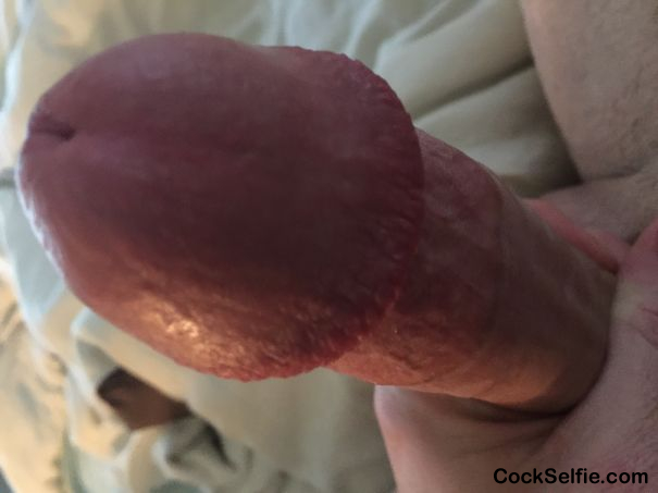 What u want to do with this? - Cock Selfie