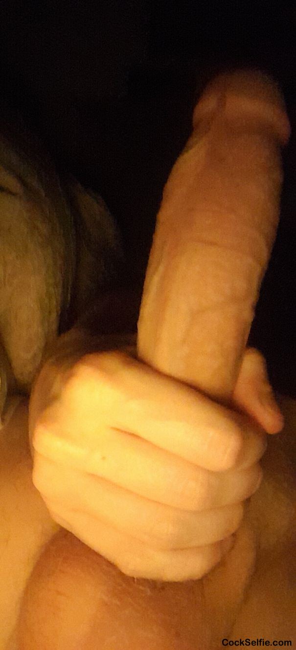I want to get knocked out and milked - Cock Selfie