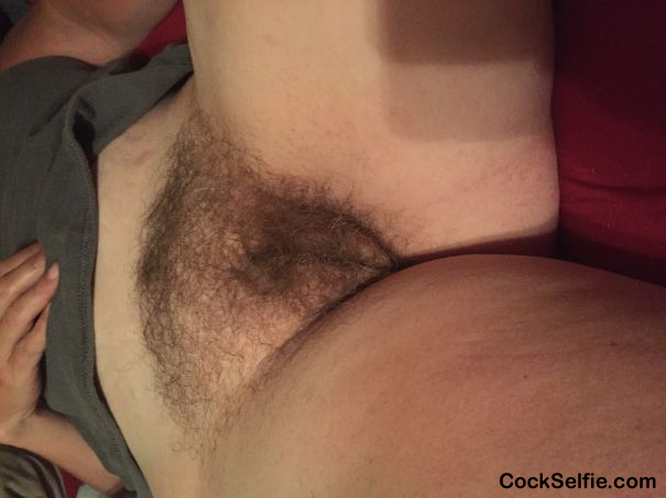 Some hairy pussy - Cock Selfie