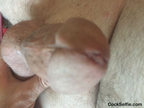 Open your mouth and suck on my penis - Cock Selfie