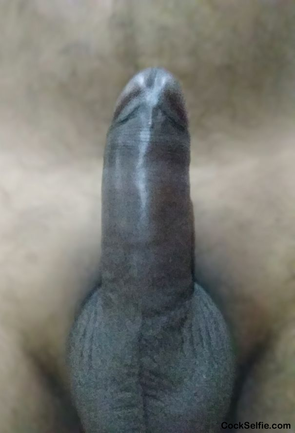 black in pose - Cock Selfie