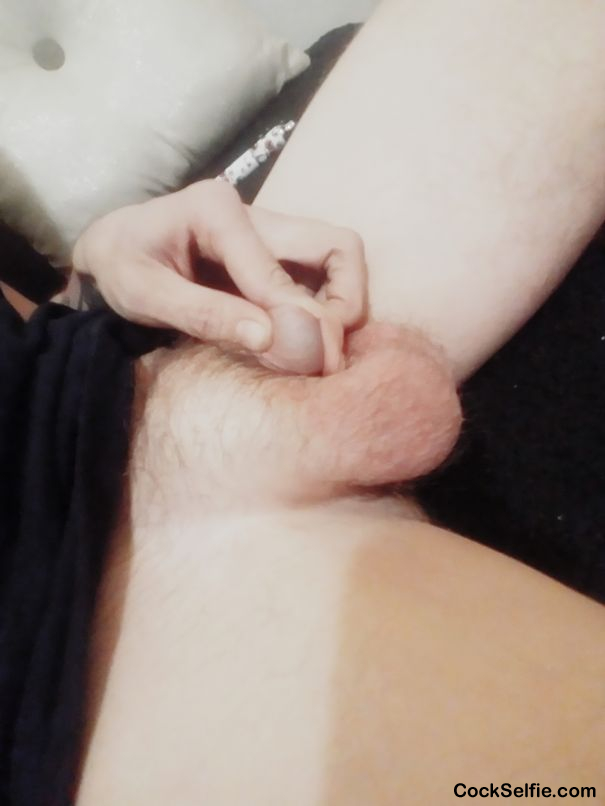 I need to cum but my pathetic baby cock cant get hard unless humiliated message me for pic trade and sph - Cock Selfie