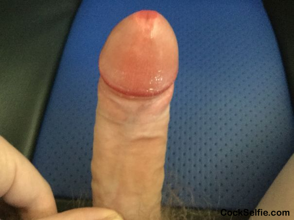 Who wants to start sucking?? - Cock Selfie