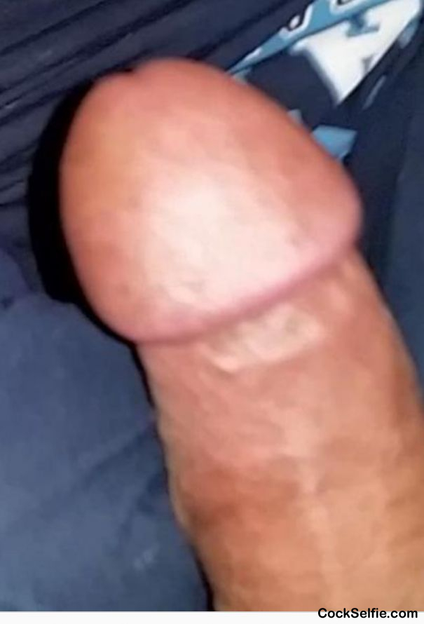 My dick - Cock Selfie