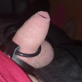 Feeling Horny... Need someone to help me get it hard for you? - Cock Selfie