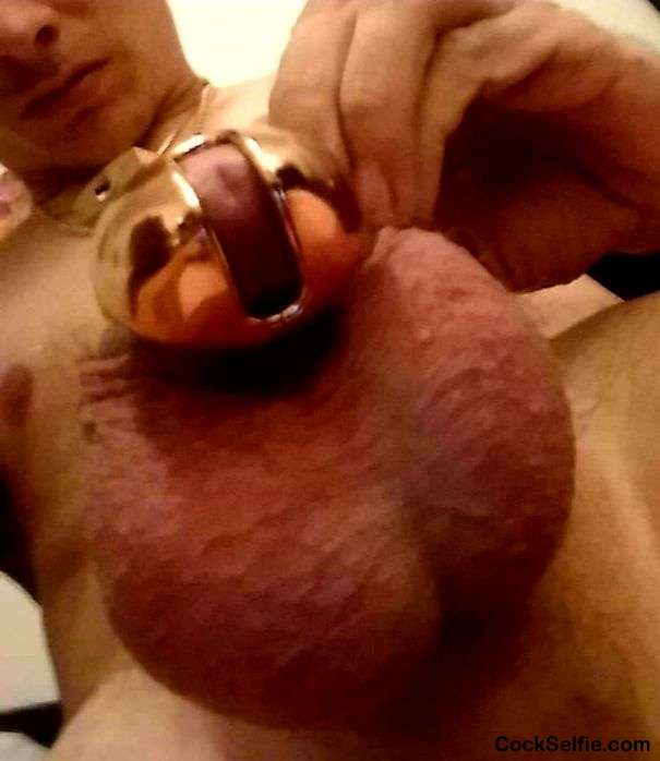 This was the smallest size chastidy I could get it's made for my half inch baby dick - Cock Selfie