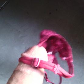 Playing with my Aunt's Bra - Cock Selfie