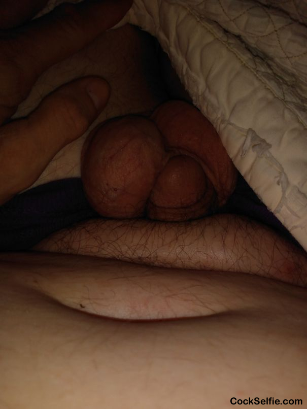 My penis - Cock Selfie