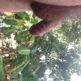 What do you think of my garden? - Cock Selfie