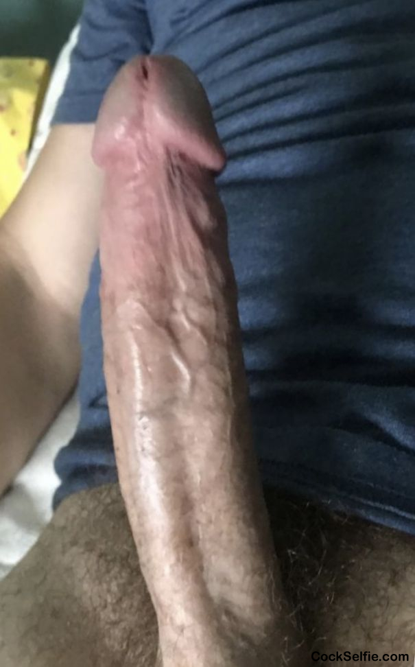 Pussy And Cock