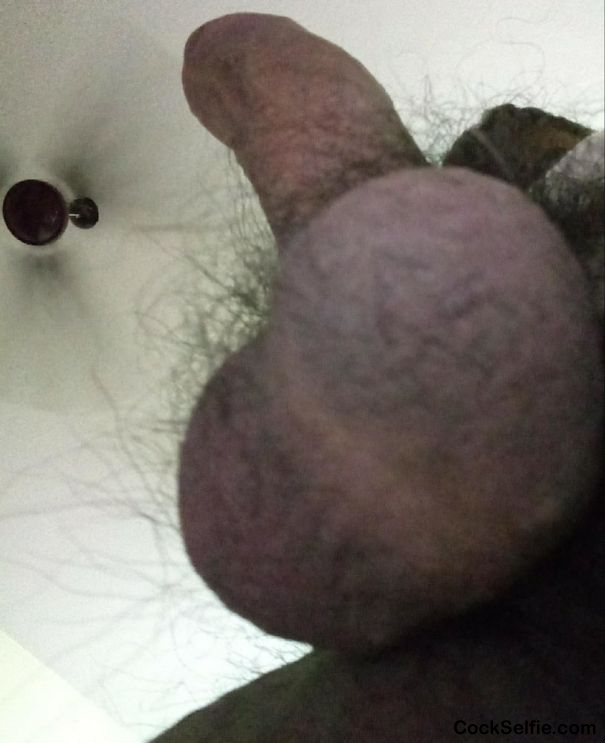 My brown cock share your commemts - Cock Selfie
