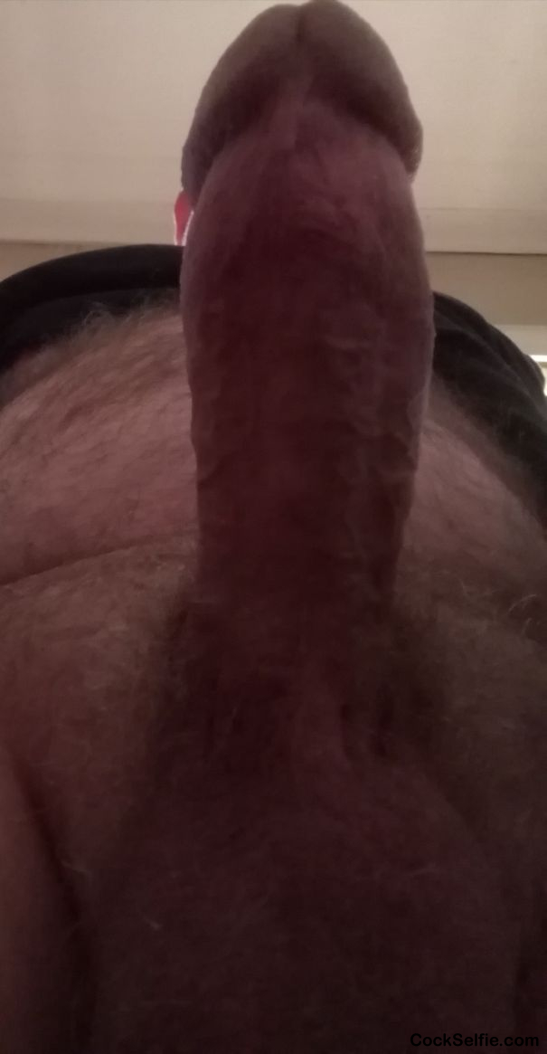 My Big cock - Cock Selfie