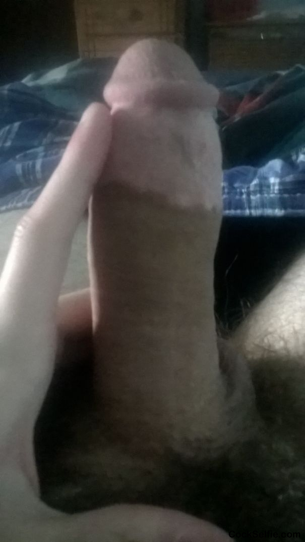 my cock 8inches - Cock Selfie