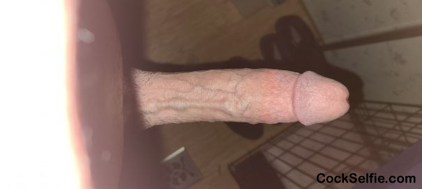Another angle - Cock Selfie