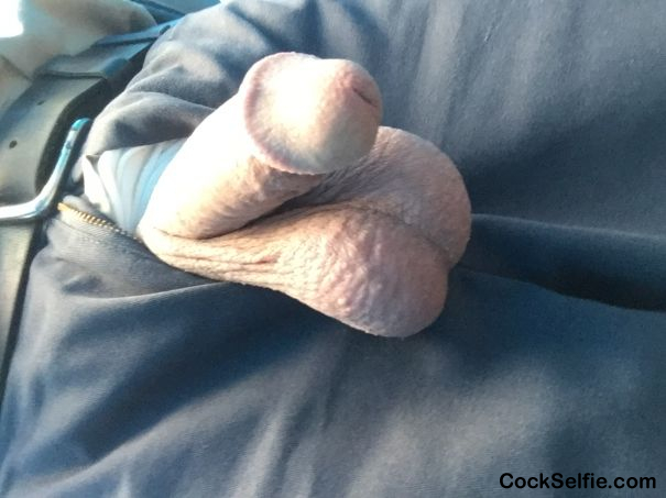 Hanging out while working - Cock Selfie