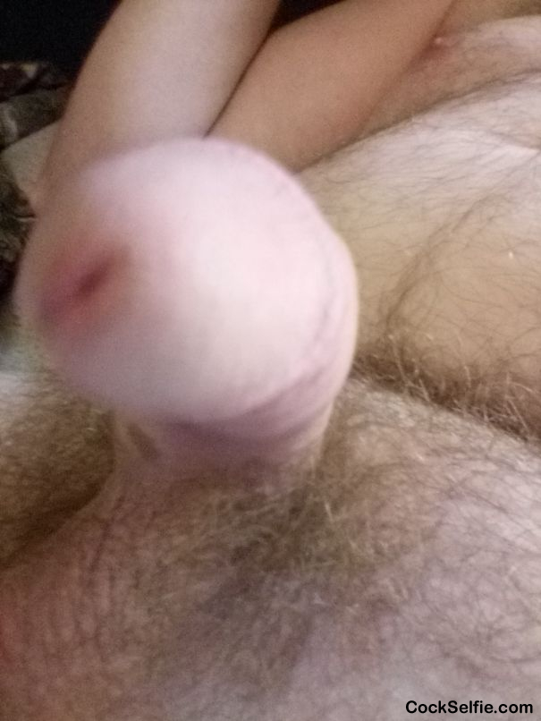 Anyone want to kiss it - Cock Selfie