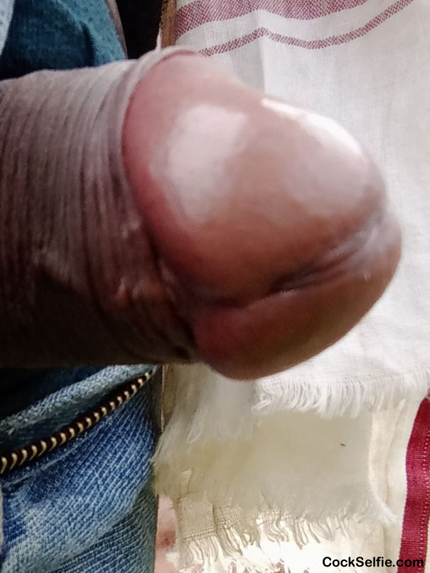 Indian village cock suck it - Cock Selfie